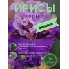Ирисы / ОПТ 15 штук 